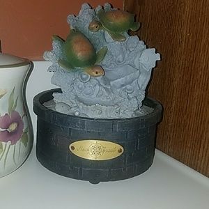 Gorgeous Turtle Waterfall